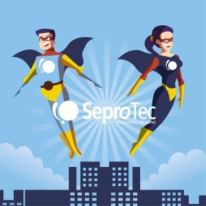 SeproTec celebrating International Project Management Day!